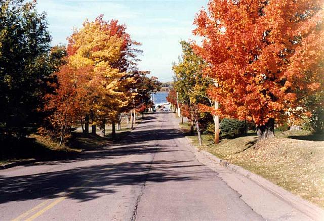 Fall Colours Street