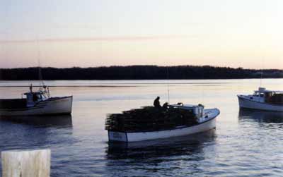 Boats Loaded with Traps