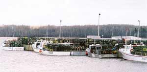 Wharf loaded with traps